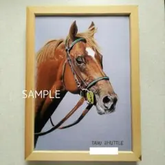 2025年最新】#鳳雛色鉛筆画家の馬シリーズの人気アイテム - メルカリ