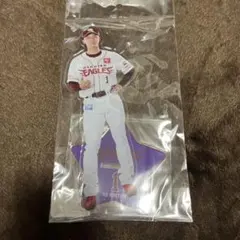 宗山塁アクリルスタンド大①⑤ 楽天イーグルス 完売品