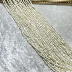 淡水パール1本売　60