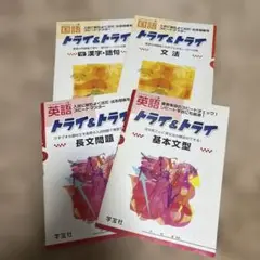 トライ&トライシリーズ54 英語、国語