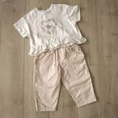 cottoli 80 90