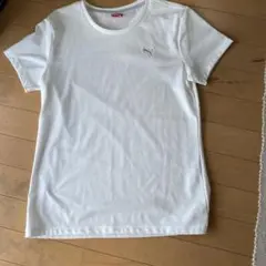 Tシャツ　Lサイズ