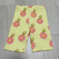 Item thumbnail for item 4ecee138-9925-4e8b-981d-f9ef0bf518d5