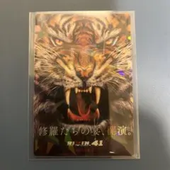 RIZIN ポテトスティック　No.19