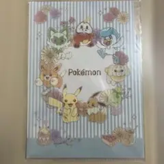 ポケモンファイル　2枚組＋おまけ