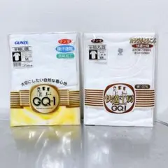 グンゼ 快適工房 GQ1半袖 U首丸首 白 Mサイズ 2枚セット