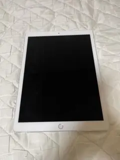 iPadPro12.9インチ第2世代 256GB シルバー