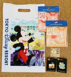 東京ディズニーリゾートグッズ　ミニタオル2枚　ピンバッジ2個　チャーム1個