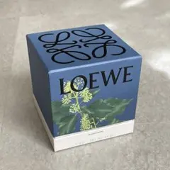 【箱付き】LOEWE ロエベ キャンドル アイビー