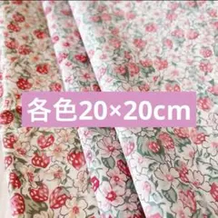 リバティ　アシュテッド　3枚