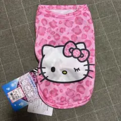 Item thumbnail for item 6c2f9397-a4f0-4c02-9ff2-1d5d360a82ea