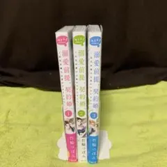 【お値下げ‼️】溺愛前提、契約婚。 ～岩代弁護士は愛がデカすぎる!?～ 1巻〜3巻