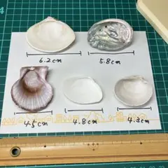 Item thumbnail for item 6523a724-4da0-4fbb-ad86-1537d970b52f
