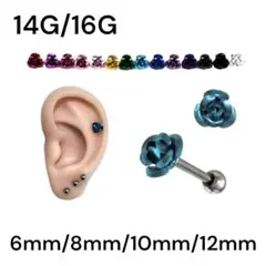 Item thumbnail for item 1f2d509f-4738-4b2d-ba23-1b3584eb74c1