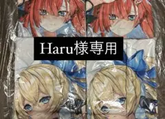 白猫プロジェクト　夏色サマーくじ　等身大タペストリー　アイシャ　赤ver 白猫プロジェクト 夏色サマーくじ エレノア 等身大タペストリー