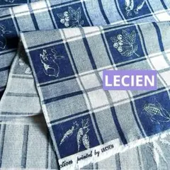 ◆LECIEN☆ヴィンテージカントリー❤︎ハギレ