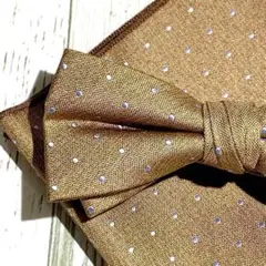 Item thumbnail for item 3d87db63-58bb-4d5c-a1f0-3da2ce995a03