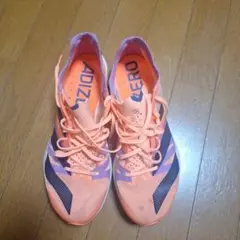 Item thumbnail for item 3b3cdfbc-fcde-49b8-9771-25c1ee5c08f2