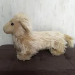 ダックスフント
