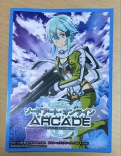 SAOAC　シノン　スリーブ