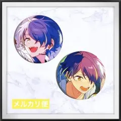 新品⭐︎ あんスタ コレクション 缶バッジ 2025 Mar 忍