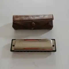 Item thumbnail for item 310ec9db-e99c-4445-a211-3b2063b7bd01