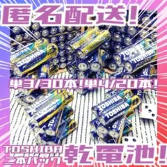 東芝アルカリ乾電池 単3/30本 単4/20本