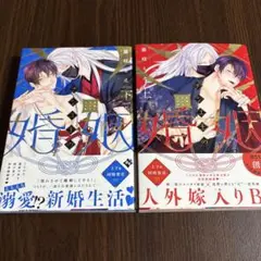 チシュ王の婚姻　上、下　藤咲もえ