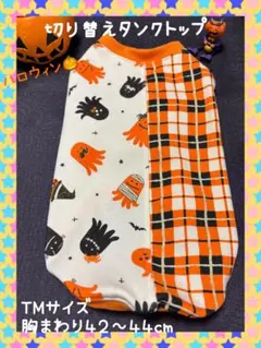 Item thumbnail for item 95c95aa4-5928-4785-ae43-2f6441ff9ada