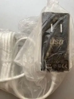 SoftBank AC-22-TCPD type C急速充電