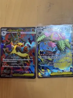 メガルカリオex & メガフシギバナex SR2枚セット