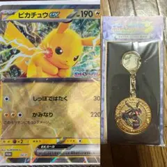 ポケモン ピカチュウEX プロモカード ＆ レックウザメダルキーホルダー 新品