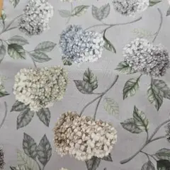 リバティ　LIBERTY 　サフォークプライズ　 あじさい柄　花柄