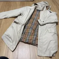 Item thumbnail for item 72aa2f3a-a1a0-42bc-bd71-c3ac5df3edc4