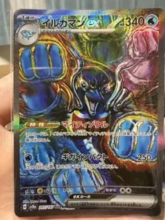 イルカマンex SAR と、オーガポンみどりのめんex UR