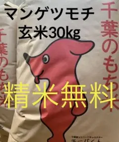 新米 残僅か 令和4年 マンゲツモチ 玄米30kg 餅米 もち米 一軒農家生産