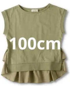 Item thumbnail for item da971ccf-410f-49af-af09-890c3da7ddf5