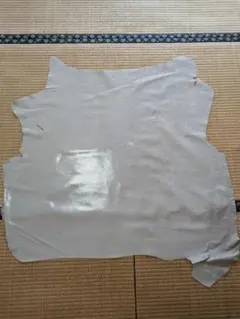 Item thumbnail for item 0523e5a2-3648-43e7-a0d5-05a7465247bc