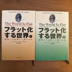 フラット化する世界 経済の大転換と人間の未来 上下