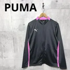 Item thumbnail for item bf75c98c-dc58-466c-b302-4b748610b389