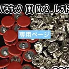 専用ページ