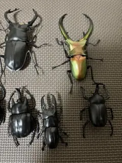 いきもの図鑑　ガチャガチャ