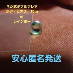 ネジ式ダブルフレア ボディピアス　10mm レインボー