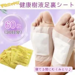 Item thumbnail for item 607ba237-e7a0-4d78-8abb-b49800a11bcd