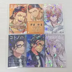 パラライ カード 6点セット