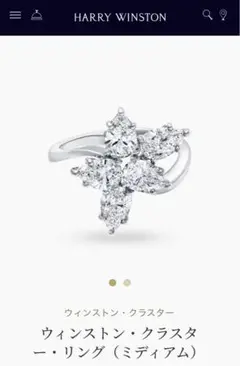 Item thumbnail for item 3428a2dc-603a-4471-a999-c12439d5b47e