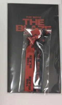 THE BOYZ SS席入場特典 ドボイズ 匿名発送