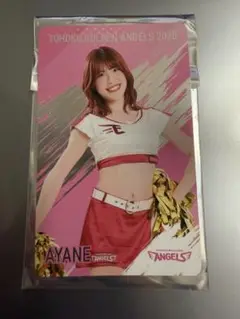 Item thumbnail for item 30f98451-102e-49b6-8c42-cc33be67868f