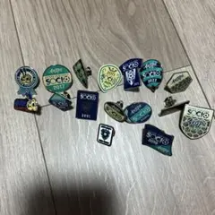 サッカー アビスパ福岡ピンバッジ 16個セット