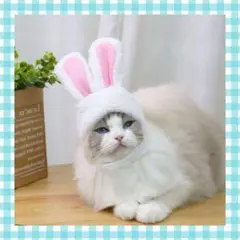 Item thumbnail for item 92fdfa44-c749-4ccb-b91c-b9ef9909db04